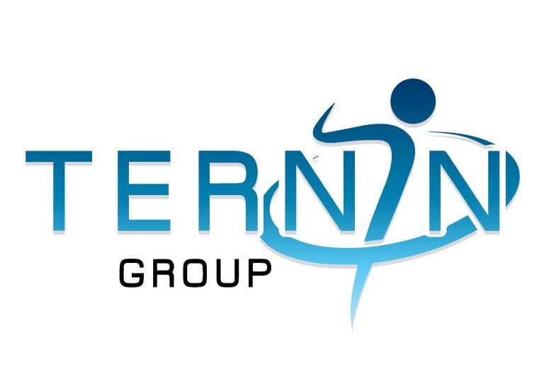 terningroup_logo